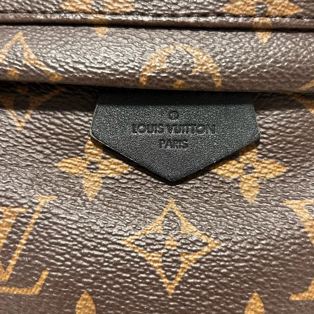 SOLD Louis Vuitton Palm Springs PM - Picture 3 of 15